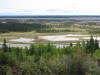 31Aug: Whooping Crane nesting area, Salt Plains, Wood Buffalo National Park, NWT