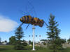 02Sep: Giant bee, Fahler, AB