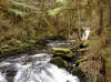 23Apr: Settler's Cove, Ketchikan, AK