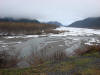 01May: Alaska Chilkat Bald Eagle Preserve, near Haines, AK