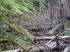 02May: Drumming log, Kluane National Park, YT