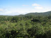 BFF1. Cayo Broadleaf Forest Foothills
du Plooy's Jungle Lodge