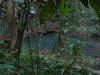 BFF1. Cayo Broadleaf Forest Foothills
Blue Hole, St. Herman's Cave Blue Hole NP