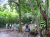BFF1. Cayo Broadleaf Forest Foothills
St. Herman's Blue Hole NP