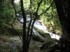 BFF2. Stann Creek Broadleaf Forest Foothills
Bocawina Falls, Mayflower Bocawina NP