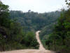 BFF1. Cayo Broadleaf Forest Foothills
Hydro Road