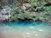 BFF1. Cayo Broadleaf Forest Foothills
Blue Hole, St. Herman's Blue Hole NP