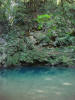 BFF1. Cayo Broadleaf Forest Foothills
Blue Hole, St. Herman's Blue Hole NP