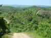 BFF3. Toledo Broadleaf Forest Foothills
Road to San Jose Village, Toledo District