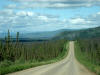 30Jun: Boreal forest, Mile 31