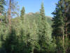 30Jun: Marion Creek BLM, Mile 180